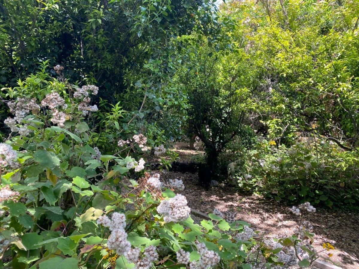 Ferienwohnung Etna Botanic Garden Mascalucia Exterior foto